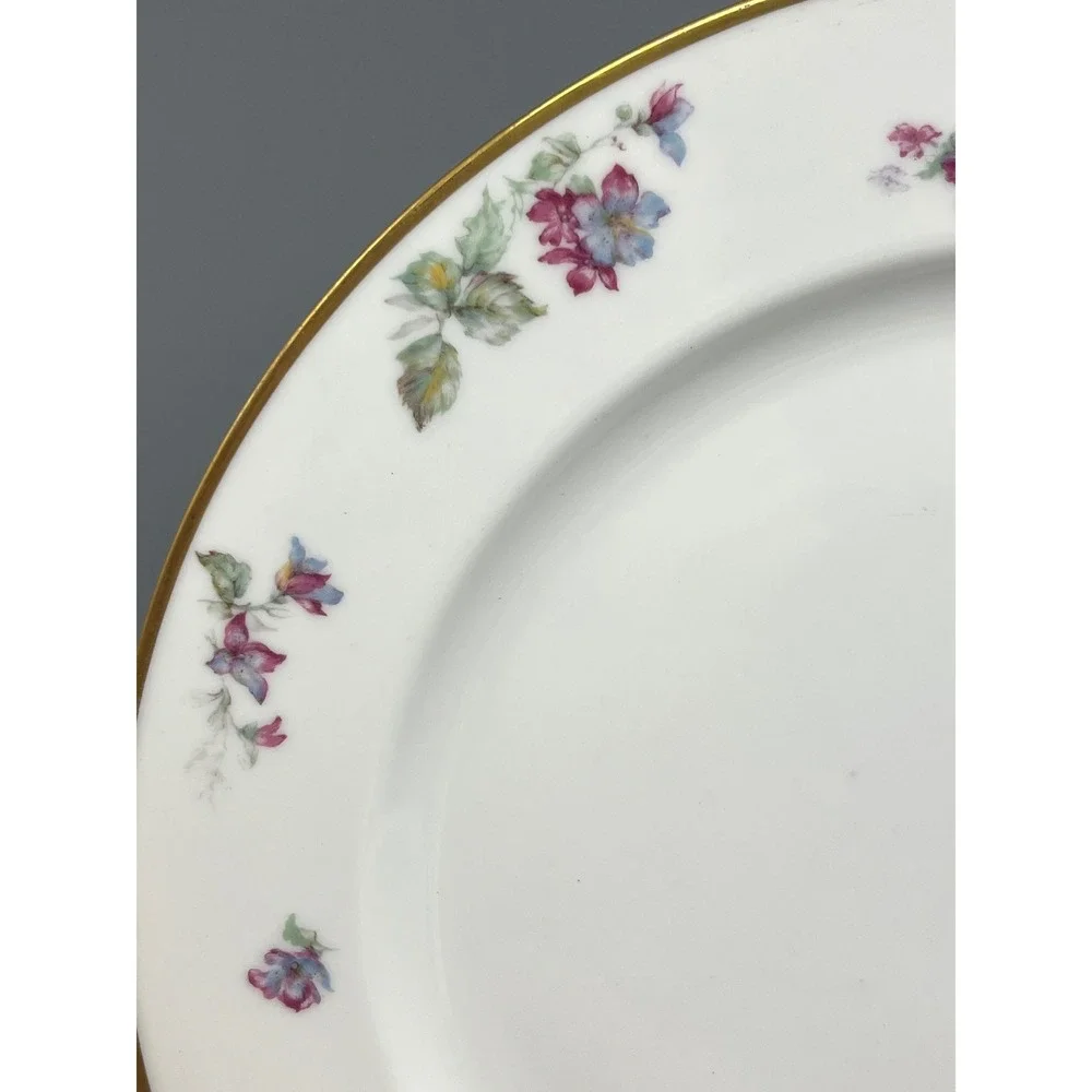 Vtg Limoges Floral Porcelain Dinner Plate Haviland France, Haviland & Co Limoges